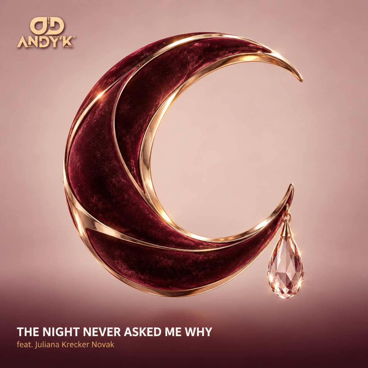 The Night Never Asked Me Why